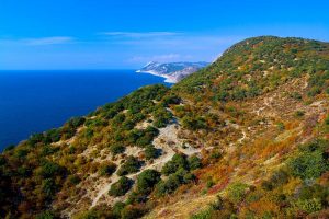 Краснодарский край