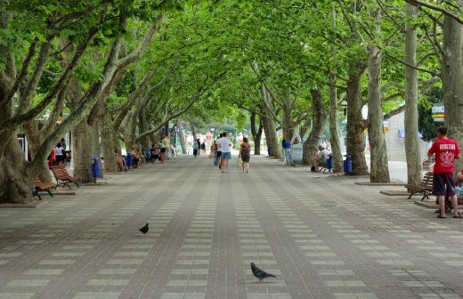 Платановая аллея в Геленджике